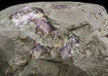 Amethyst Crystal Geode ( lbs) - Uruguay (Special Price) #37735-3